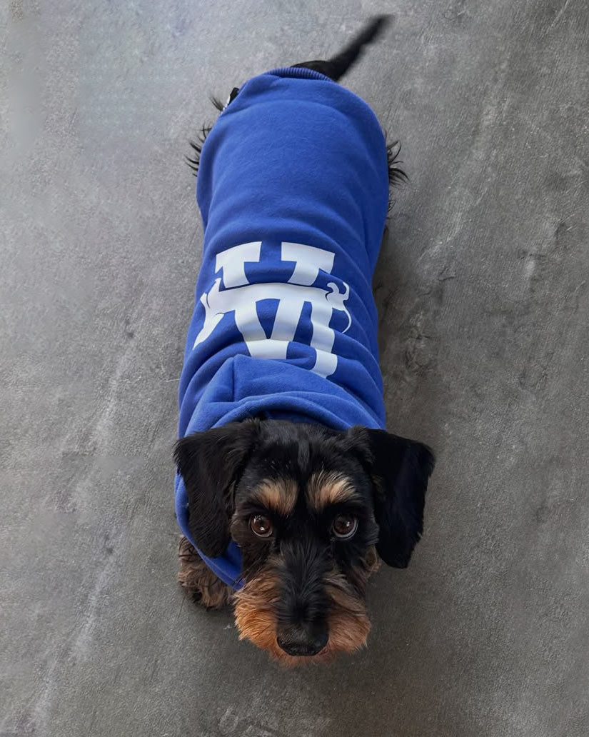 LA weens doxie hoodie - bean goods