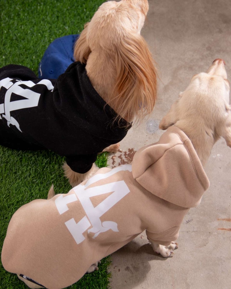 LA weens doxie hoodie | blonde - bean goods