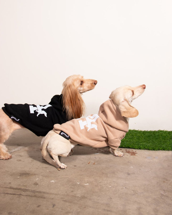LA weens doxie hoodie | blonde - bean goods