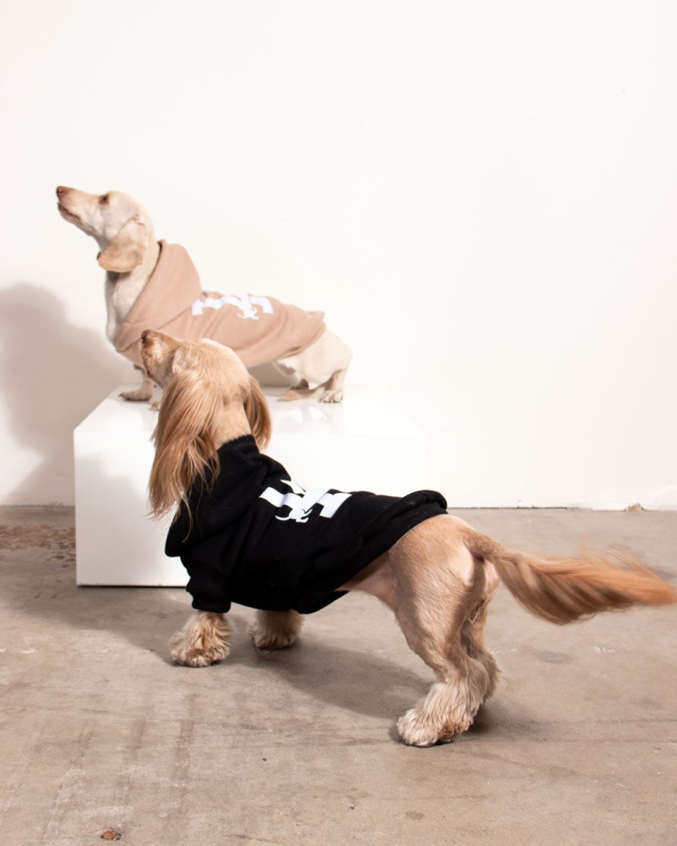 LA weens doxie hoodie | midnight - bean goods