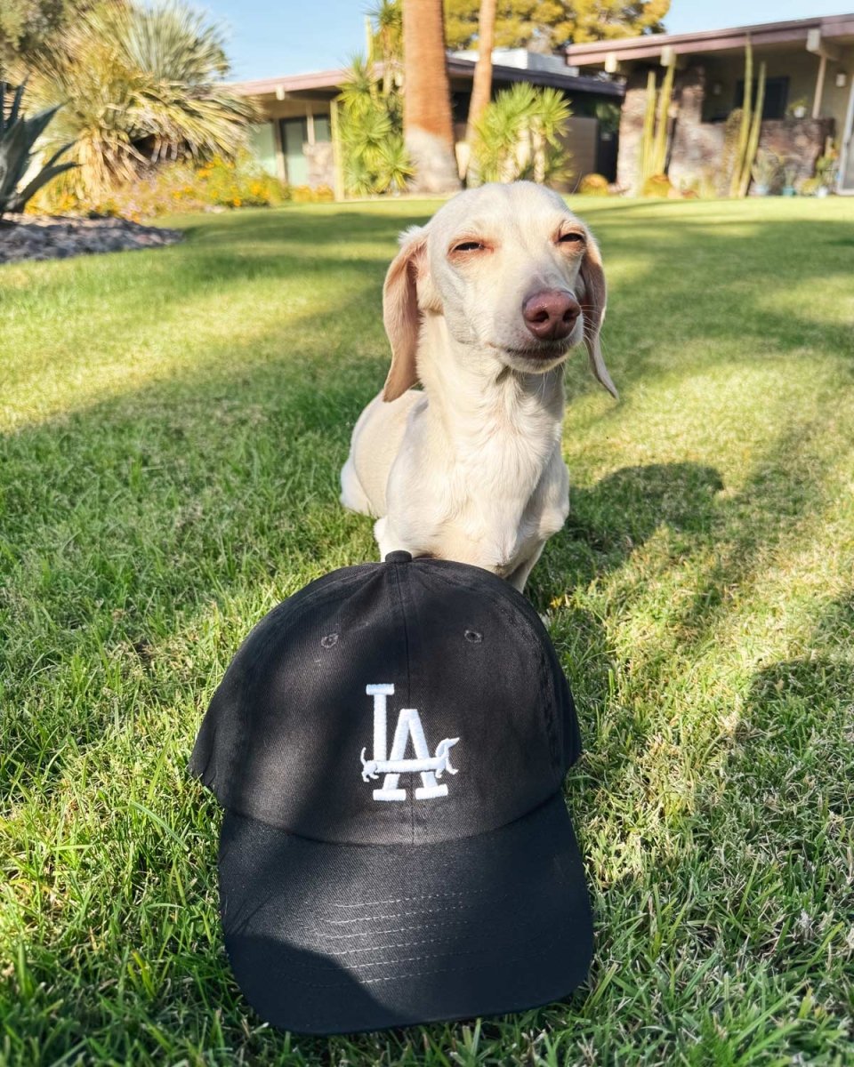 LA weens embroidered dad hat | black - bean goods
