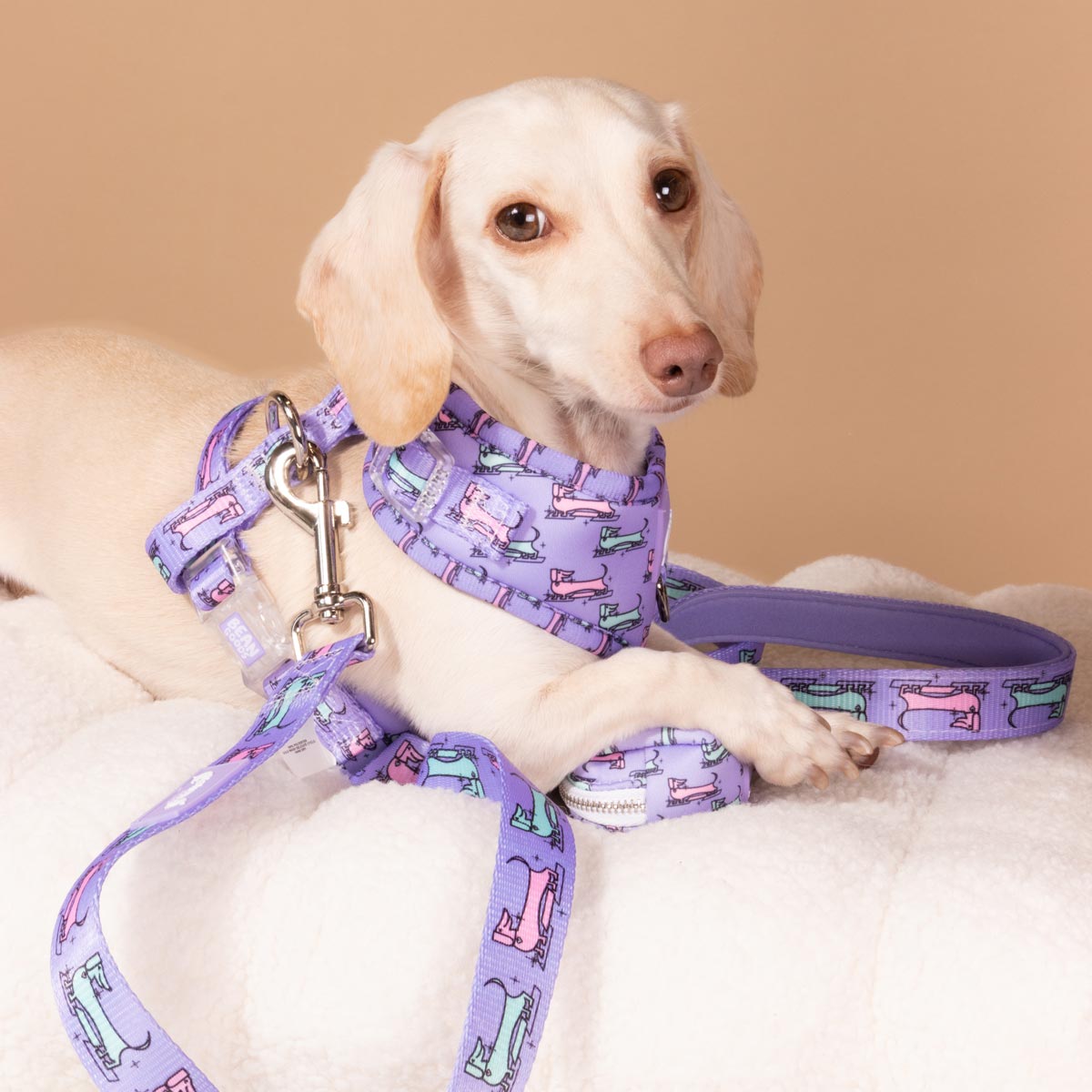 dog leash for dachshund lovers | mid-mod dox – bean goods