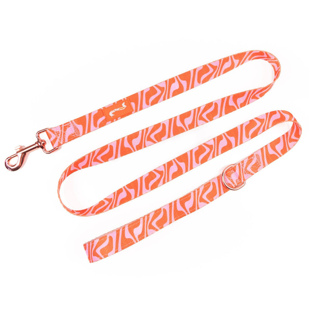 leash - retro swirl - bean goods