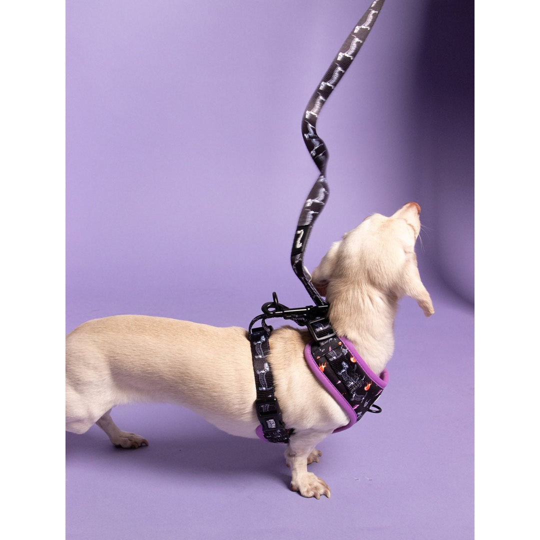 leash - skeleween - bean goods