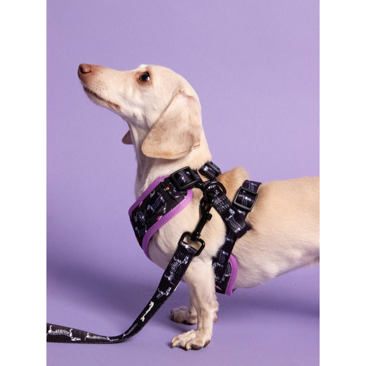 leash - skeleween - bean goods