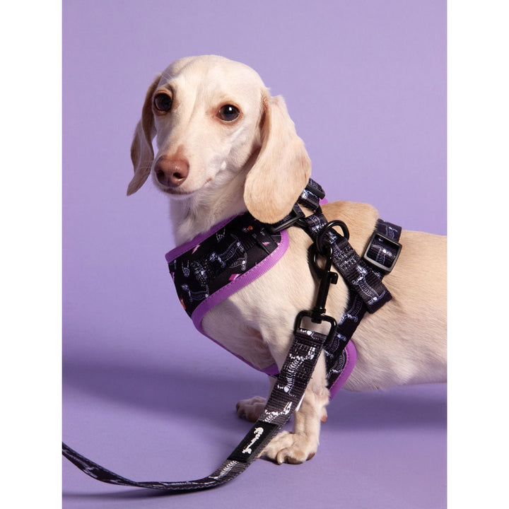 leash - skeleween - bean goods