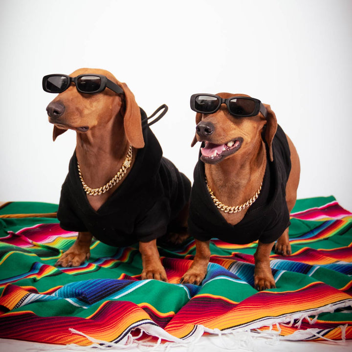 lowrider club doxie hoodie - bean goods