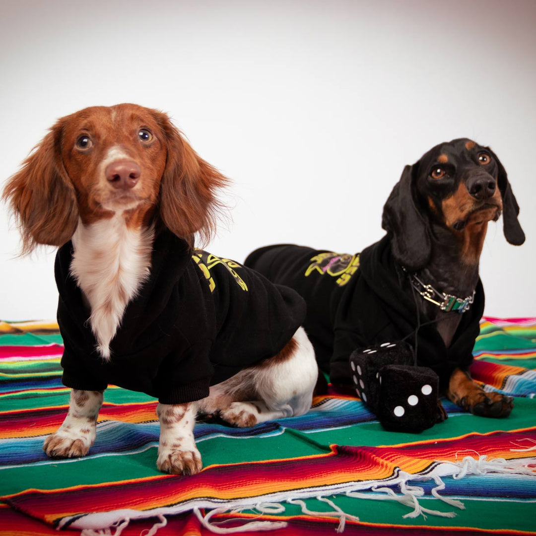 lowrider club doxie hoodie - bean goods