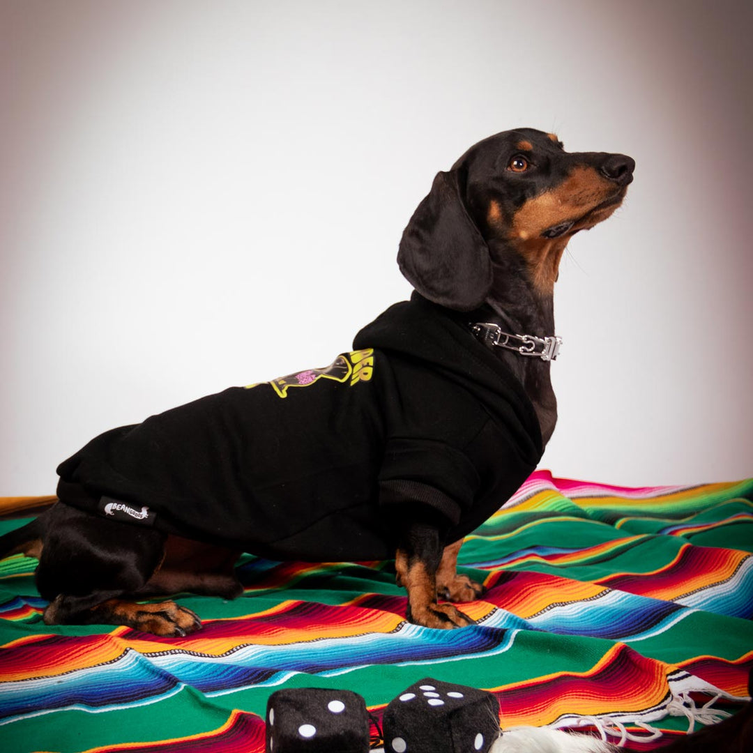 lowrider club doxie hoodie - bean goods