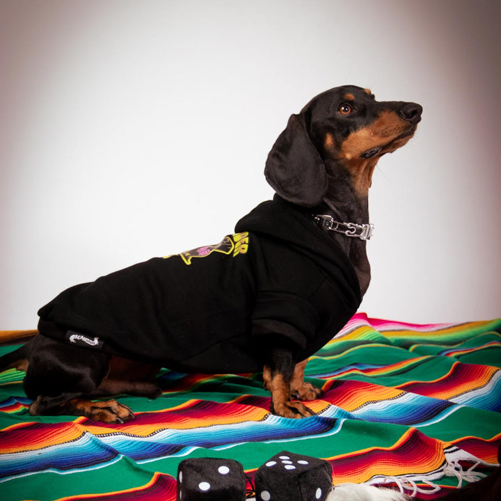 lowrider club doxie hoodie - bean goods