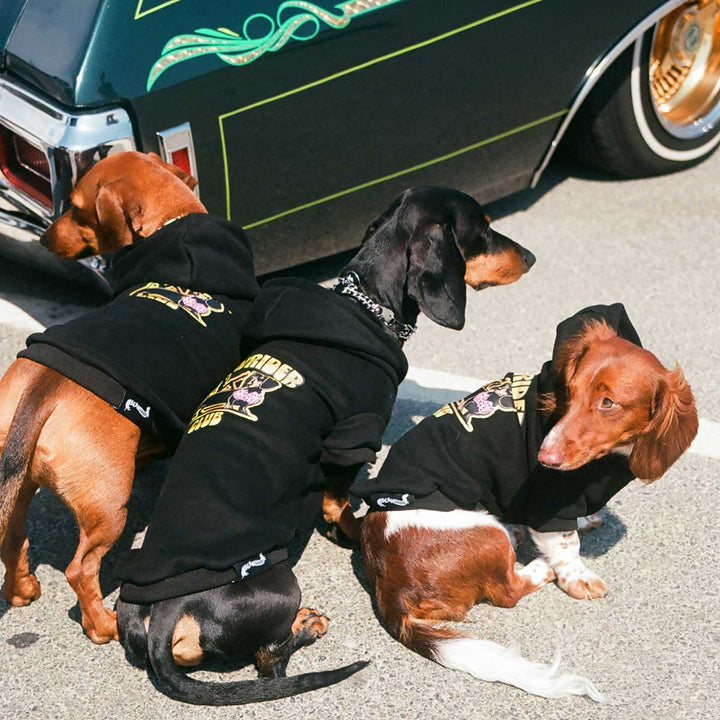 lowrider club doxie hoodie - bean goods