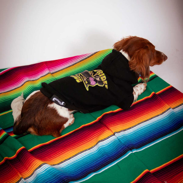 lowrider club doxie hoodie - bean goods