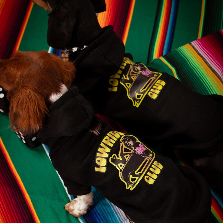 lowrider club doxie hoodie - bean goods