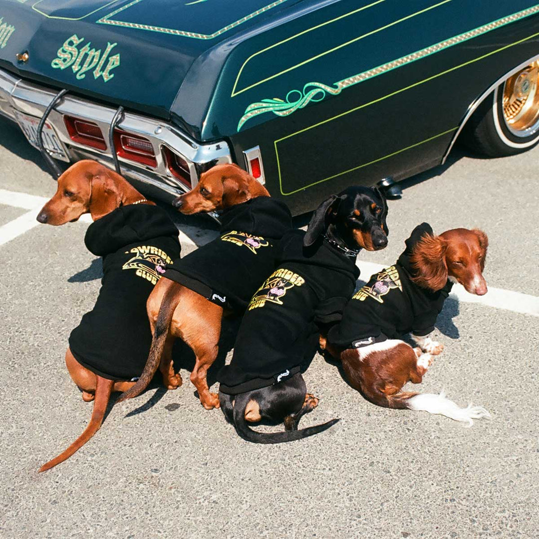 lowrider club doxie hoodie - bean goods