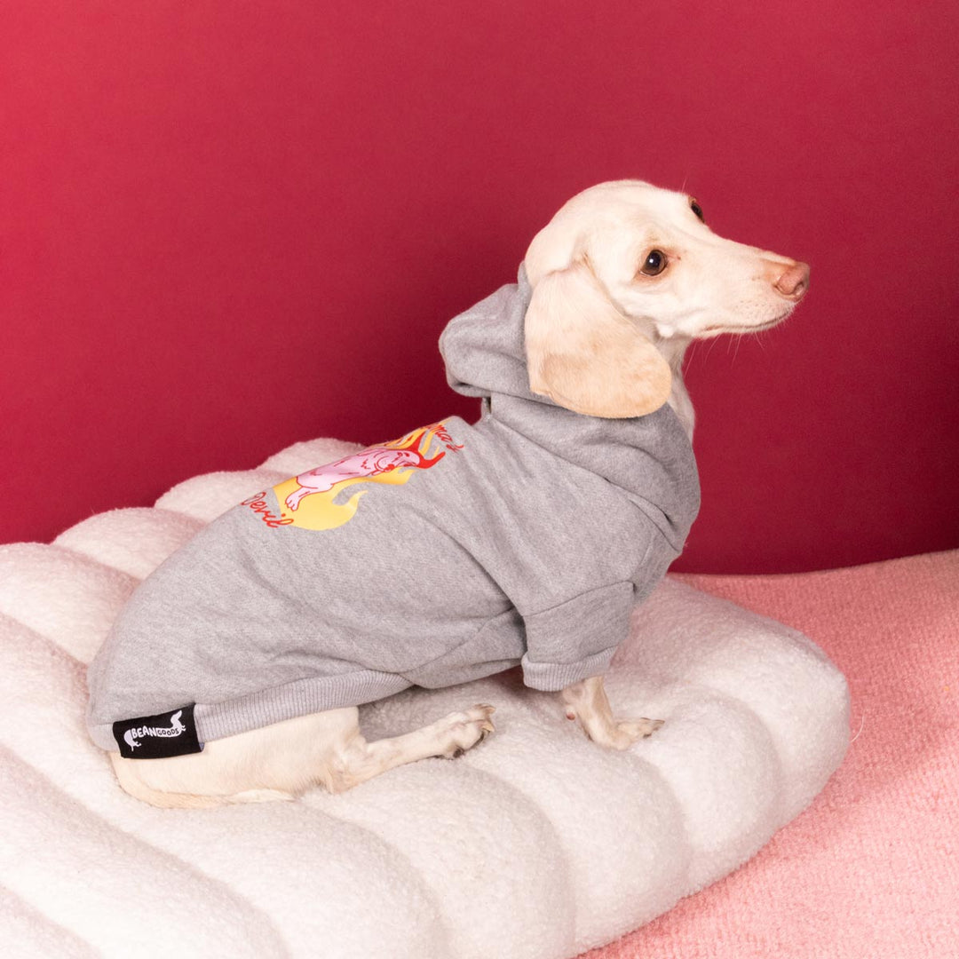 mama’s little devil doxie hoodie - bean goods