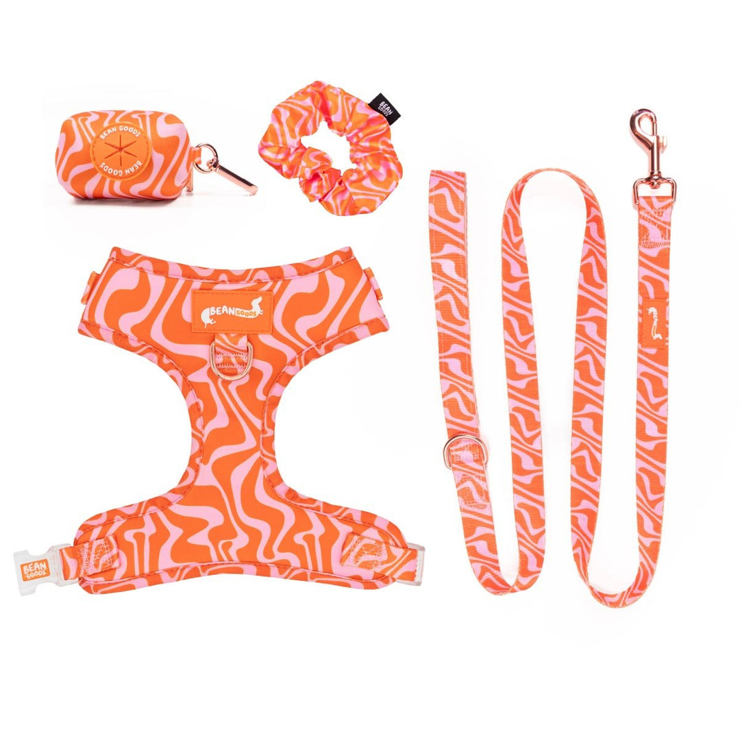 Match My Mutt Retro Swirl Bundle - bean goods