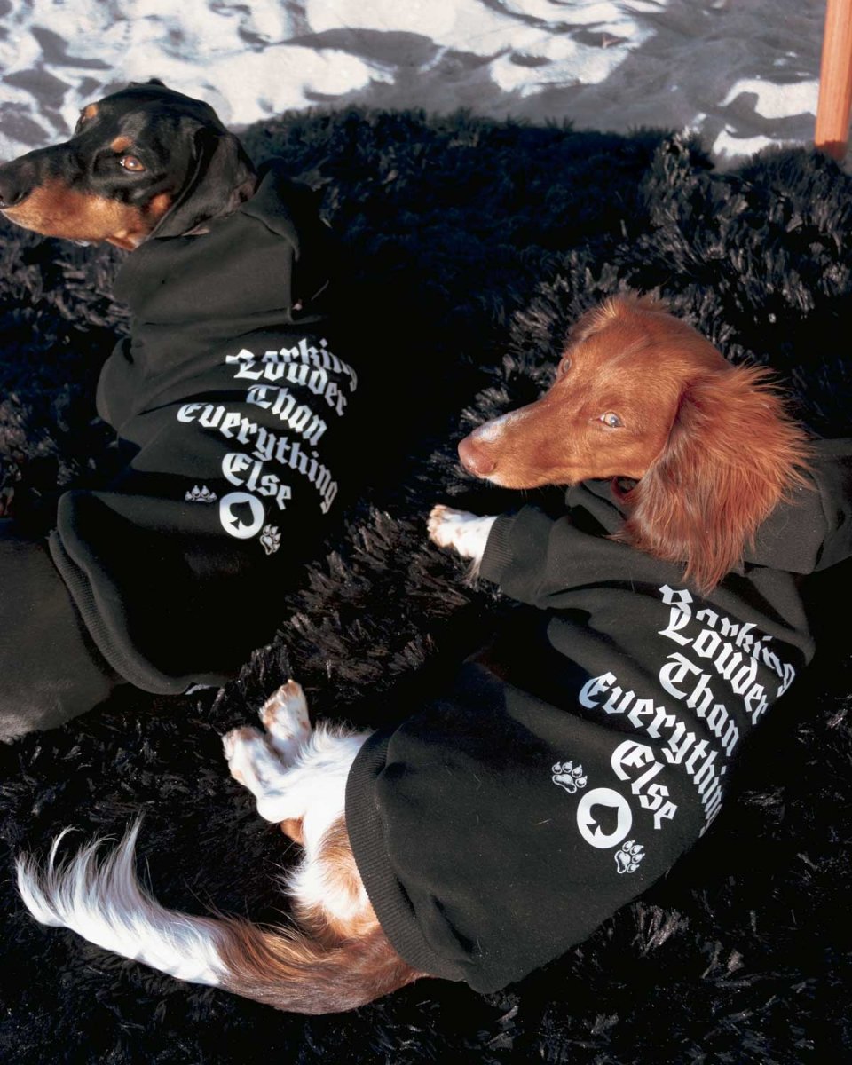 motorween doxie hoodie - bean goods