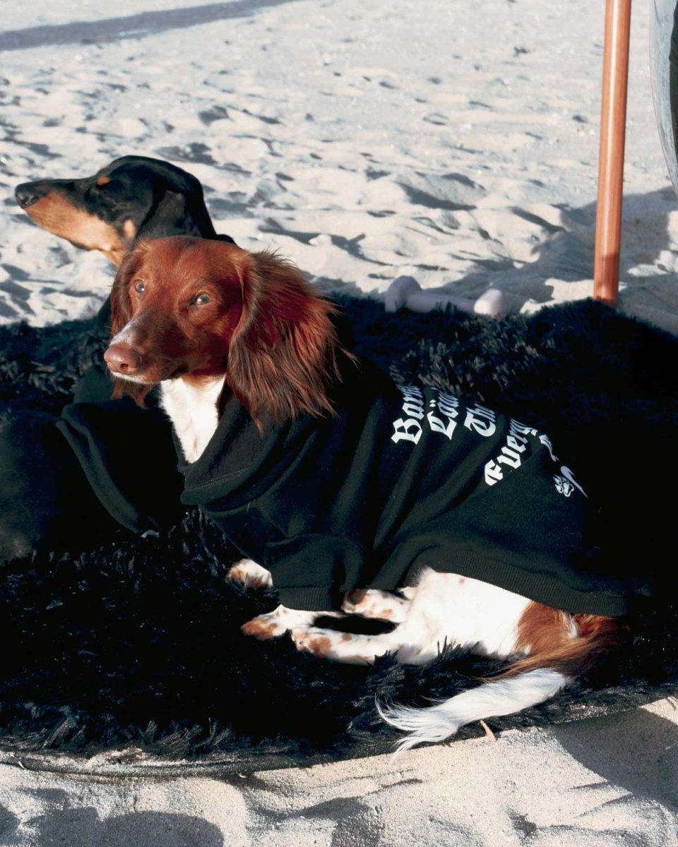 motorween doxie hoodie - bean goods
