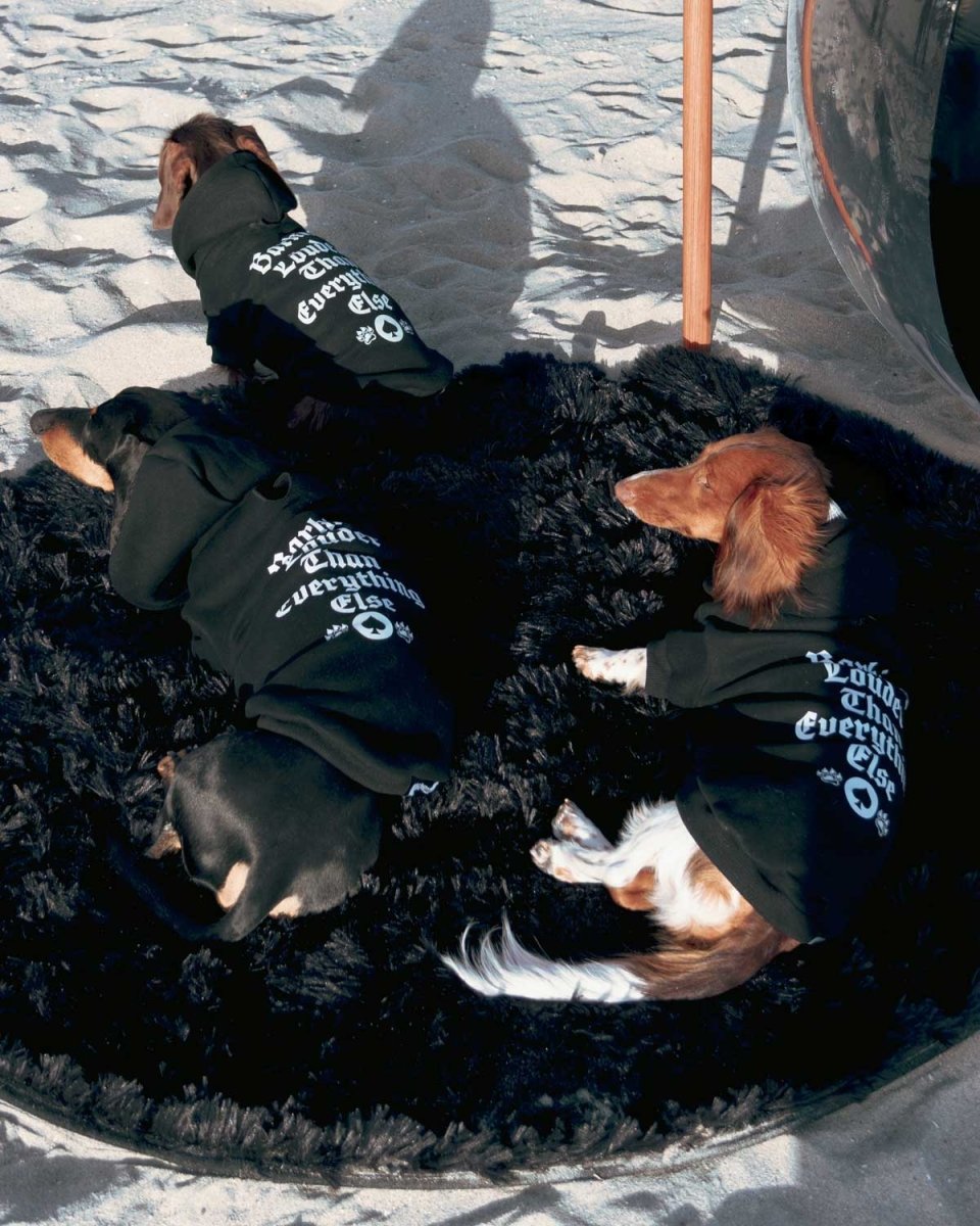 motorween doxie hoodie - bean goods