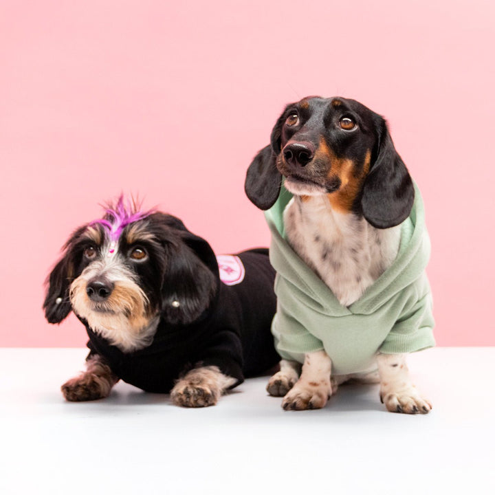 only weens doxie hoodie - bean goods