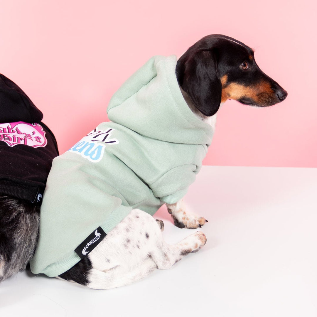 only weens doxie hoodie - bean goods