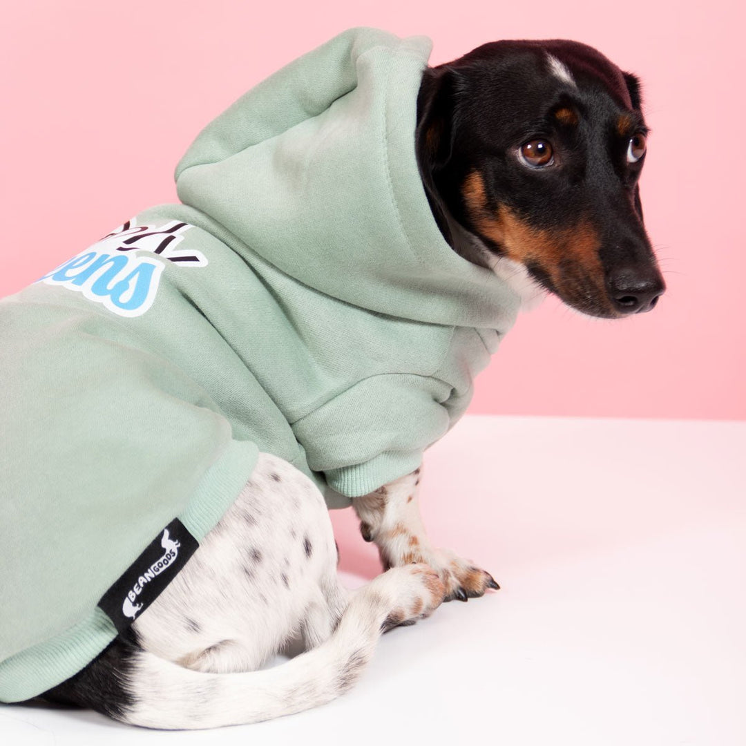only weens doxie hoodie - bean goods
