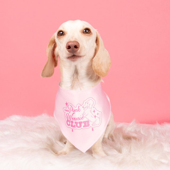 pink weenie club bandana - bean goods