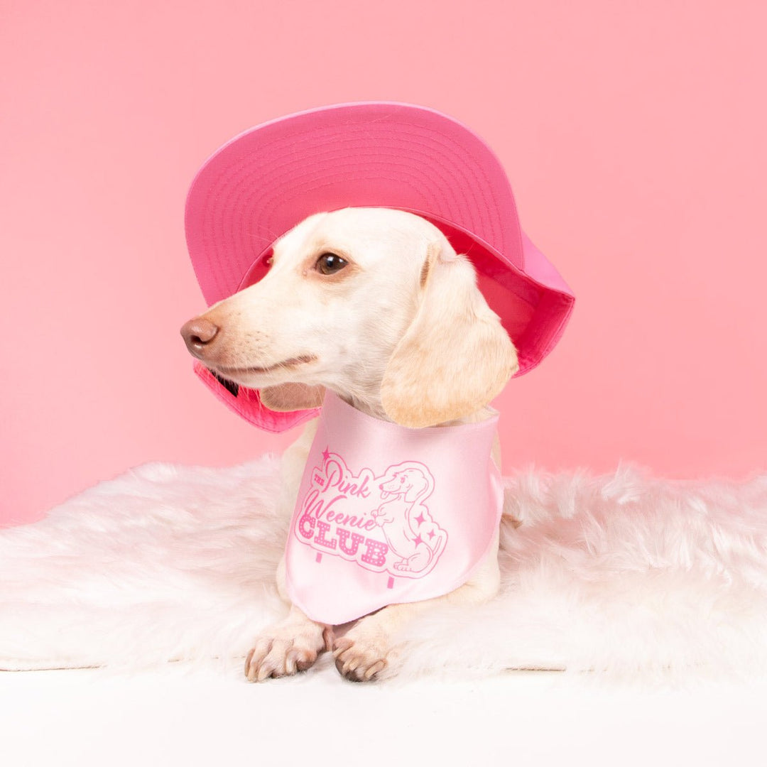 pink weenie club hat - bean goods