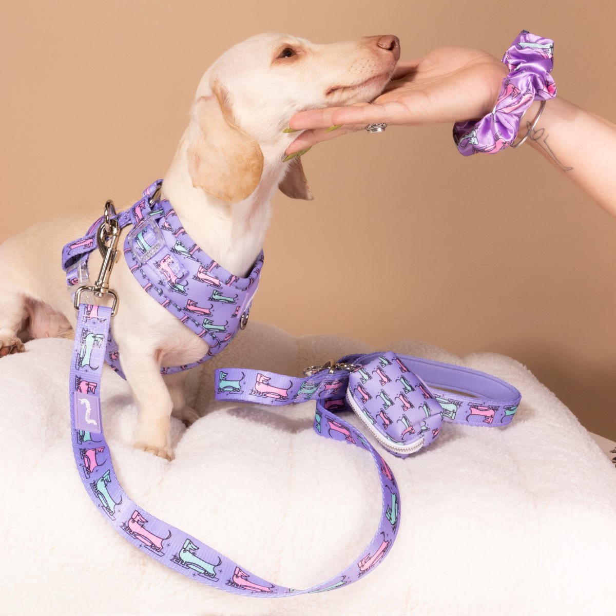 Poop Bag Pouch for Dachshund Lovers | Mid-Mod Dox – bean goods