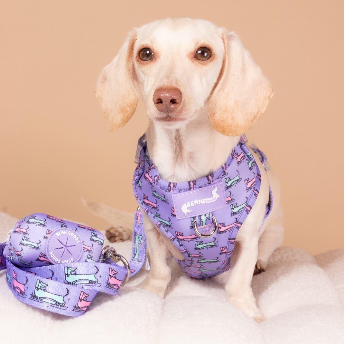 Poop Bag Pouch for Dachshund Lovers | Mid-Mod Dox – bean goods