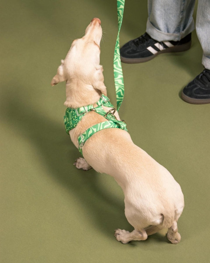 *pre - order* adjustable harness - matcha retro swirl - bean goods