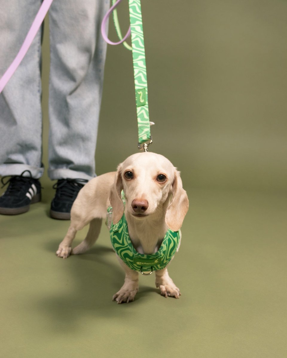 *pre - order* adjustable harness - matcha retro swirl - bean goods