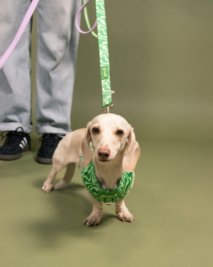 *pre - order* adjustable harness - matcha retro swirl - bean goods