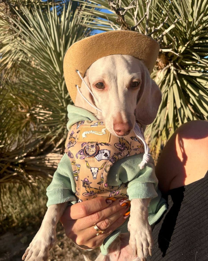 *pre - order* adjustable harness - not my first rodeo - bean goods