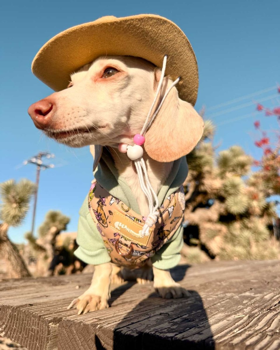 *pre - order* adjustable harness - not my first rodeo - bean goods