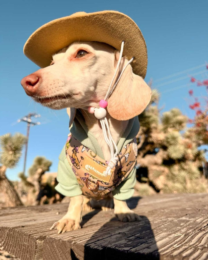 *pre - order* adjustable harness - not my first rodeo - bean goods