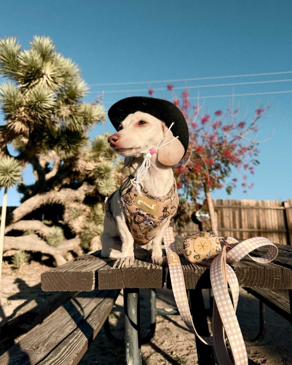 *pre - order* adjustable harness - not my first rodeo - bean goods