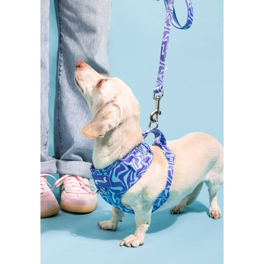*pre - order* adjustable harness - swim club retro swirl - bean goods