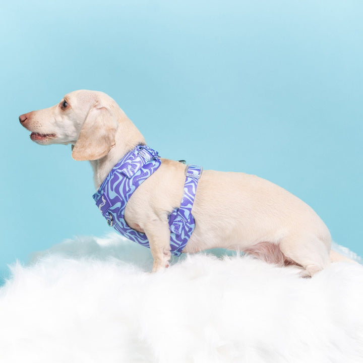 *pre - order* adjustable harness - swim club retro swirl - bean goods