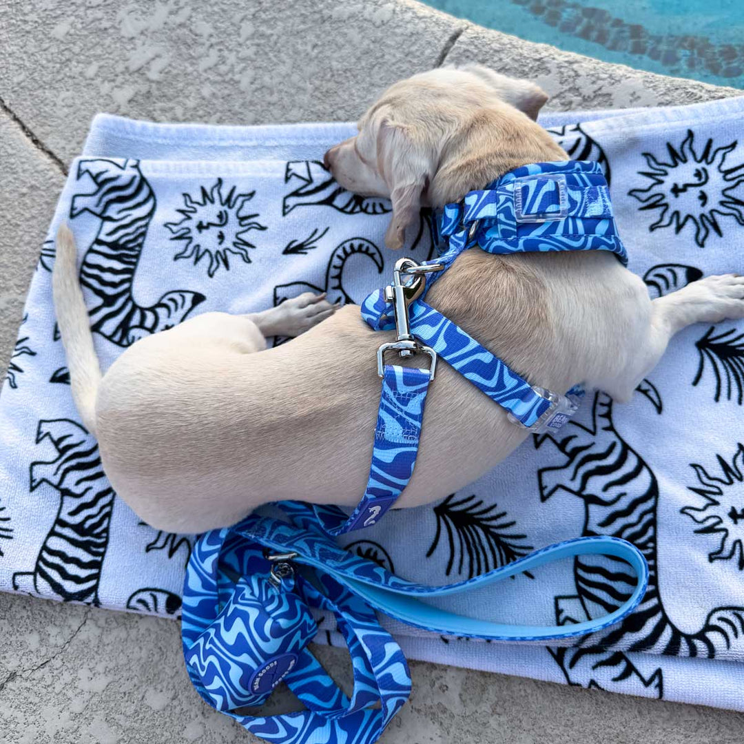 *pre - order* adjustable harness - swim club retro swirl - bean goods