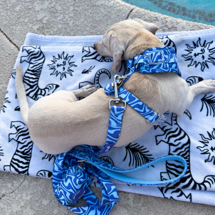 *pre - order* adjustable harness - swim club retro swirl - bean goods