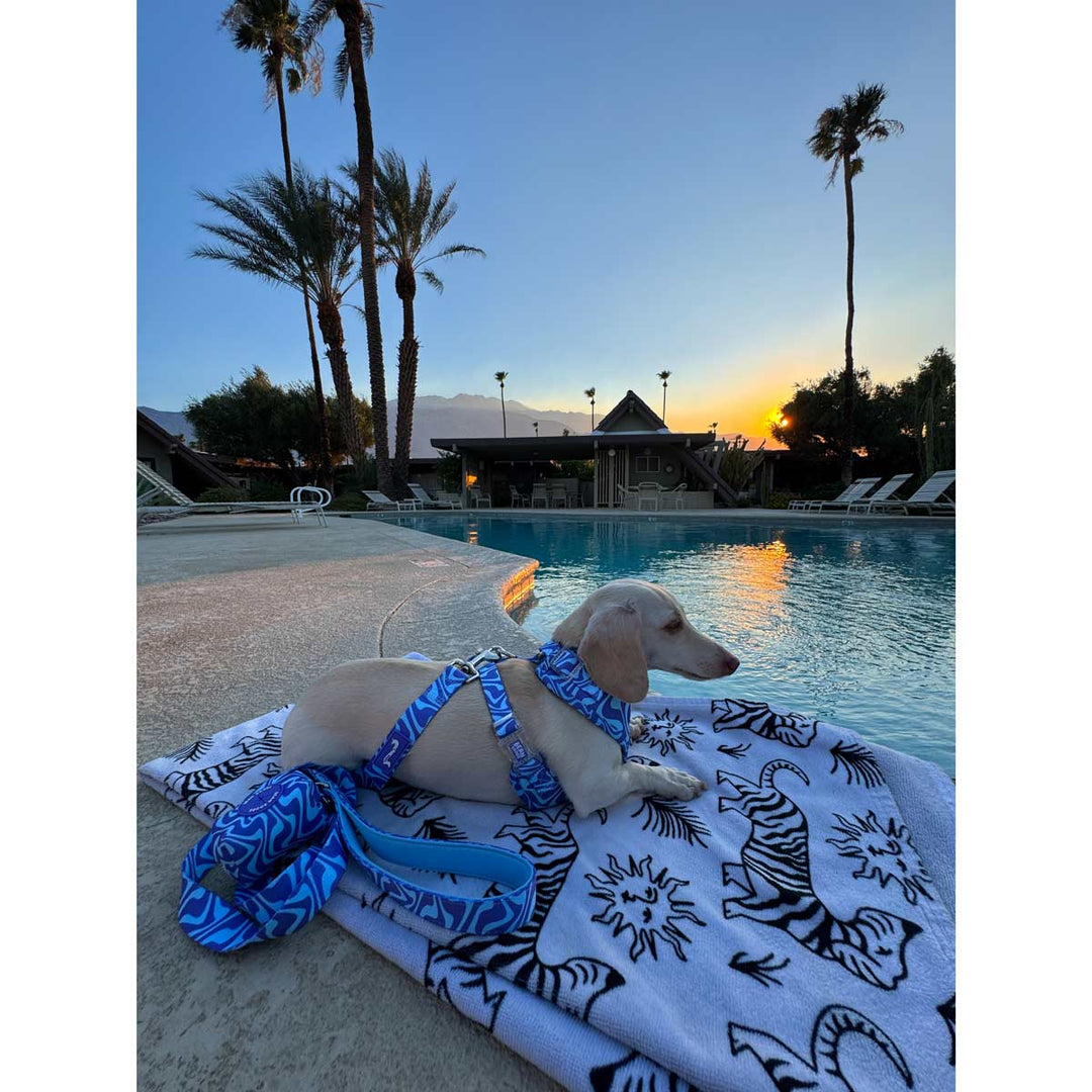 *pre - order* adjustable harness - swim club retro swirl - bean goods