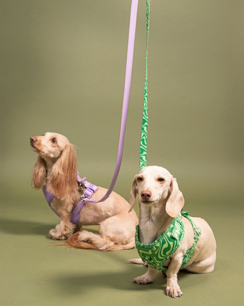 *pre - order* leash - matcha retro swirl - bean goods