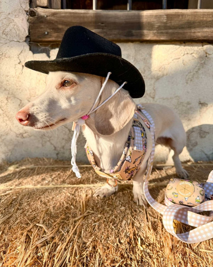 *pre - order* leash - not my first rodeo - bean goods