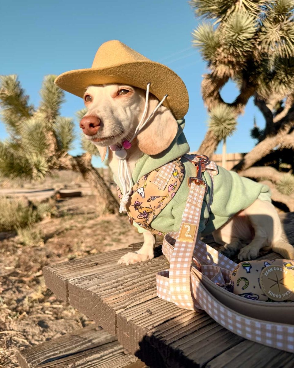 *pre - order* leash - not my first rodeo - bean goods