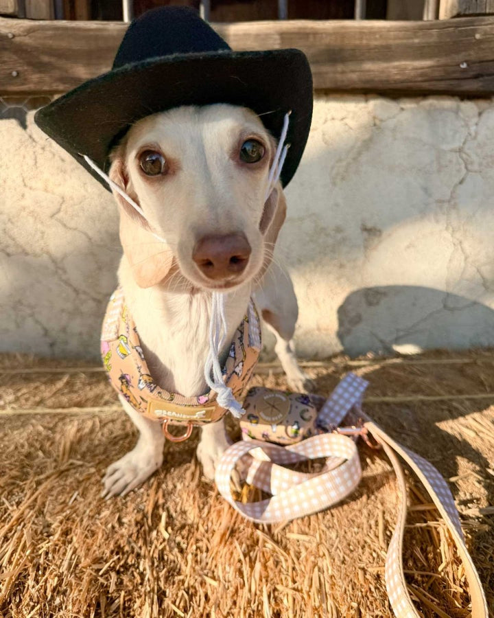 *pre - order* leash - not my first rodeo - bean goods