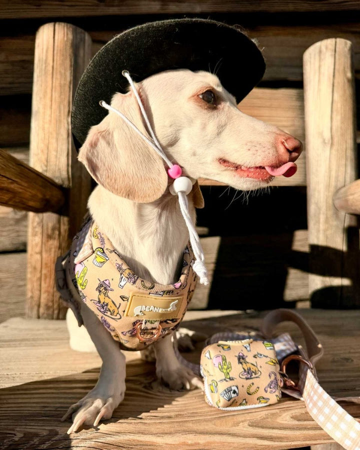 *pre - order* poop bag pouch - not my first rodeo - bean goods