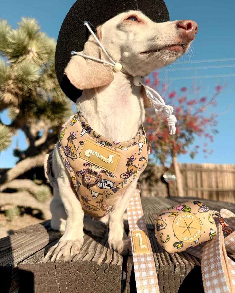 *pre - order* poop bag pouch - not my first rodeo - bean goods