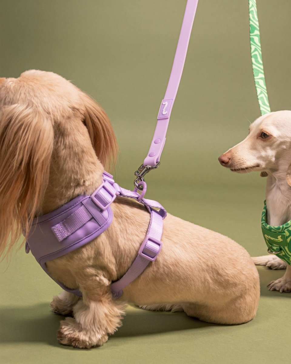*pre - order* waterproof easy - clean leash - ube latte - bean goods