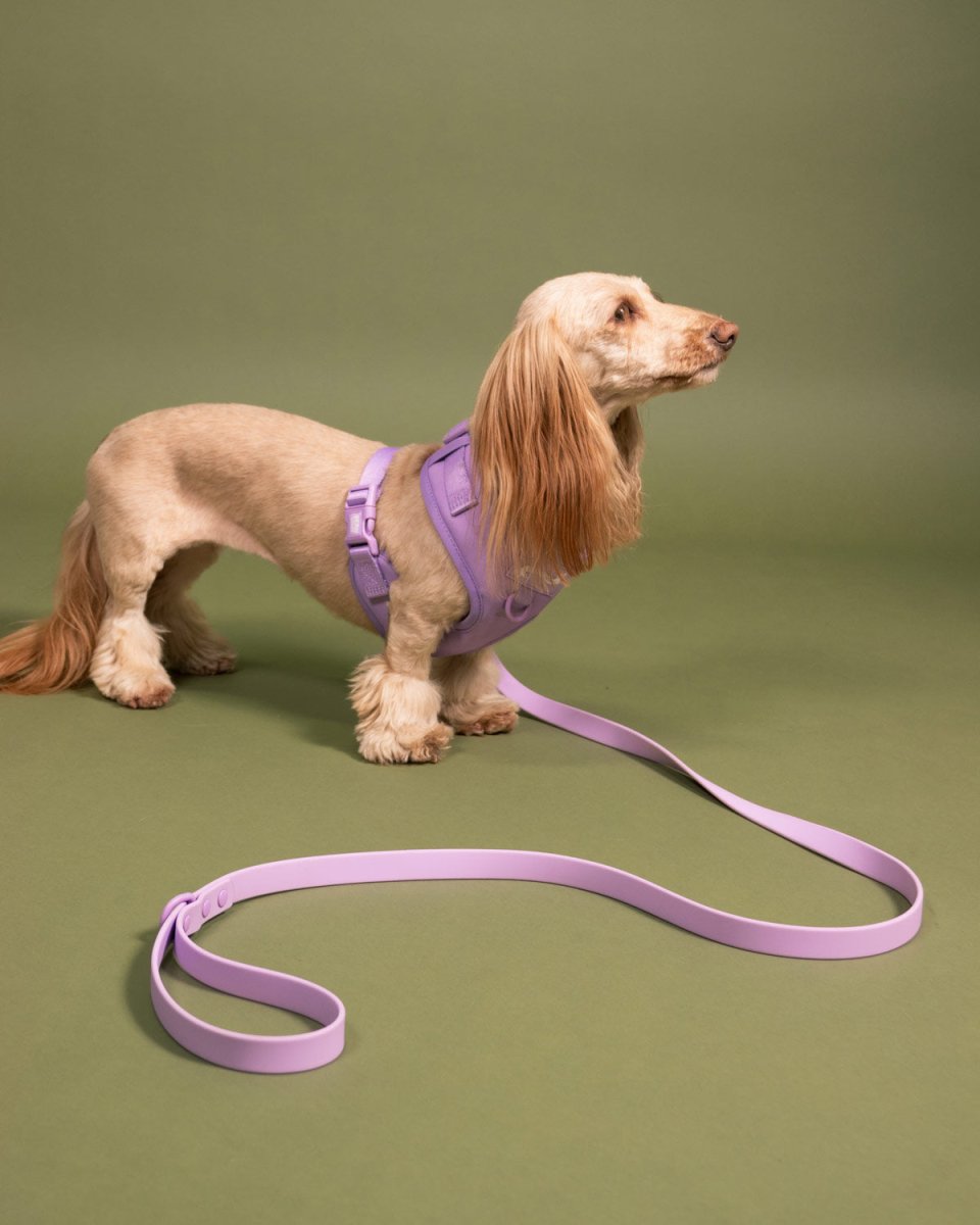 *pre - order* waterproof easy - clean leash - ube latte - bean goods